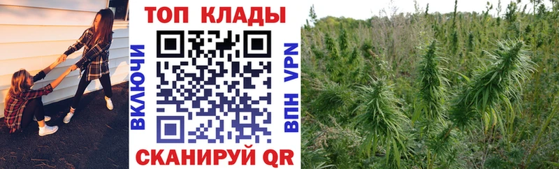 Купить наркоту Мурманск Кокаин Гашиш МЕТАДОН Каннабис Амфетамин