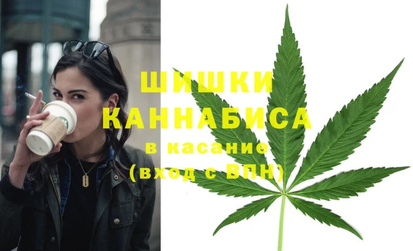 тгк Аркадак