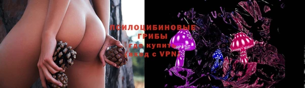 apvp Арсеньев