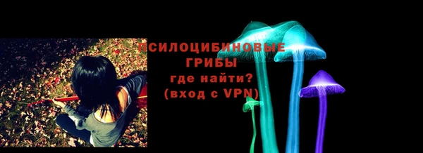 apvp Арсеньев