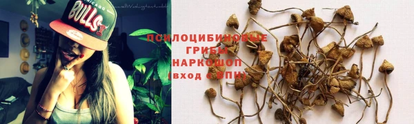 ALPHA-PVP Армянск