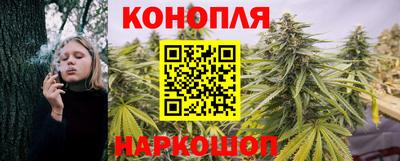 гидра Краснознаменск