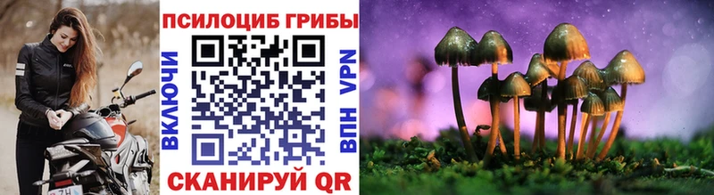 закладки  Мурманск  нарко площадка формула  Псилоцибиновые грибы GOLDEN TEACHER 