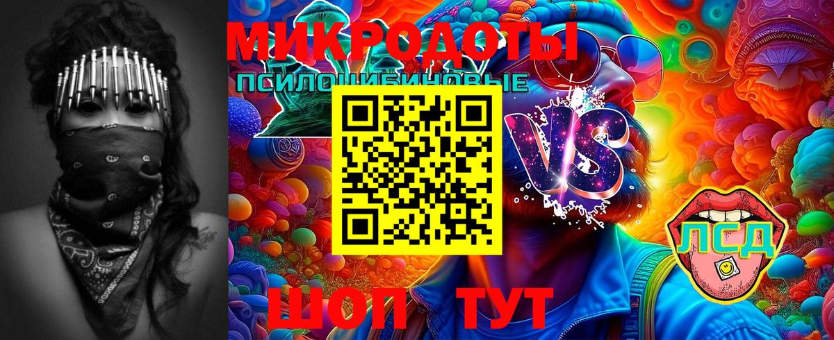 Галлюциногенные грибы GOLDEN TEACHER Мурманск
