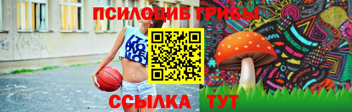Галлюциногенные грибы прущие грибы  Галлюциногенные грибы Psilocybine cubensis  Мурманск  Вход с VPN 